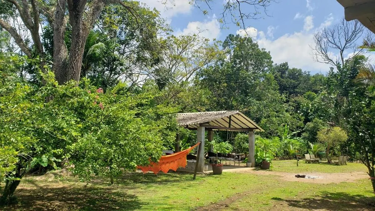 Peaceful Retreat In Atlantic Forest Recife