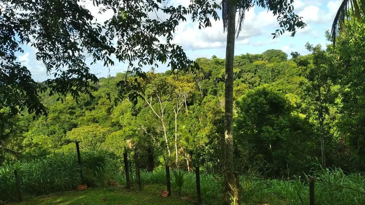 Apartment Peaceful Retreat In Atlantic Forest Recife