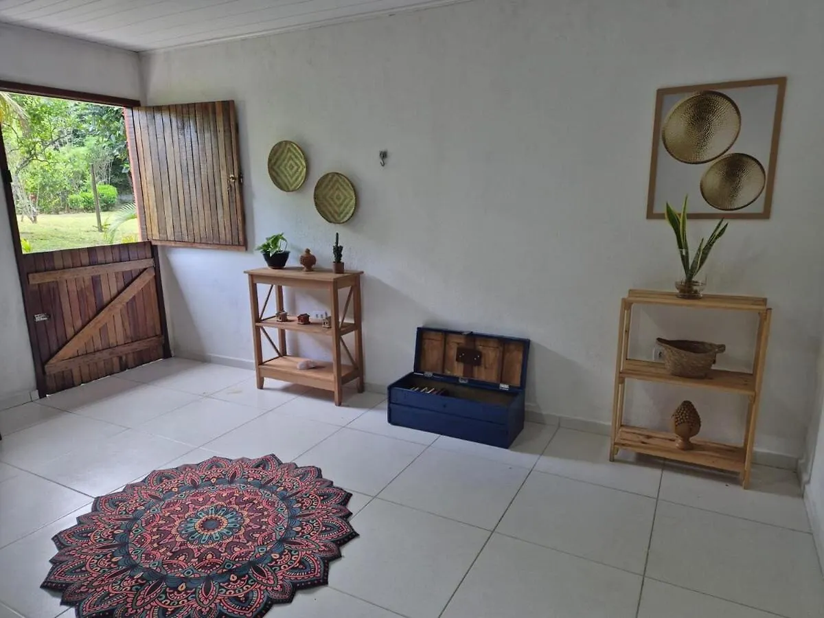 Apartment Peaceful Retreat In Atlantic Forest Recife Brazil