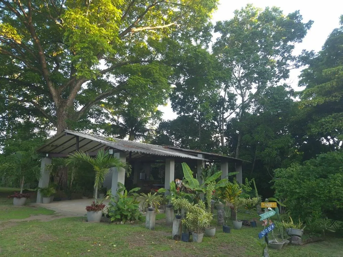 Peaceful Retreat In Atlantic Forest Recife