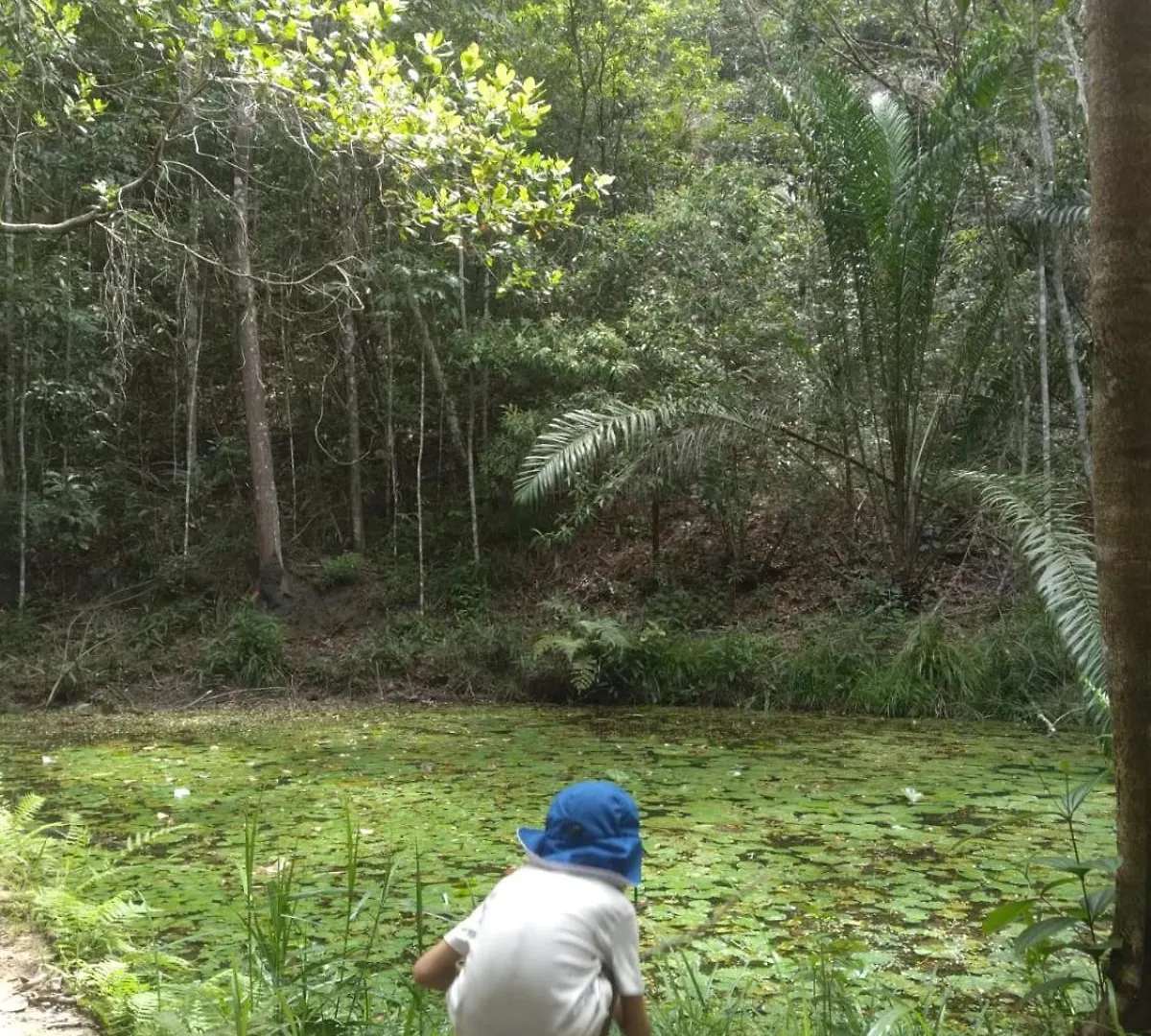 Peaceful Retreat In Atlantic Forest Recife 0*,  Brazil